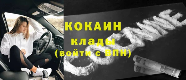 твердый Пересвет