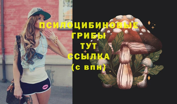 скорость Абаза