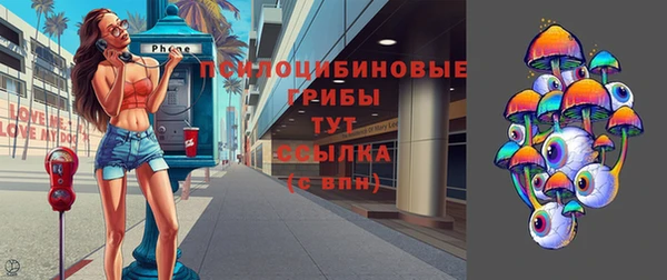 твердый Пересвет